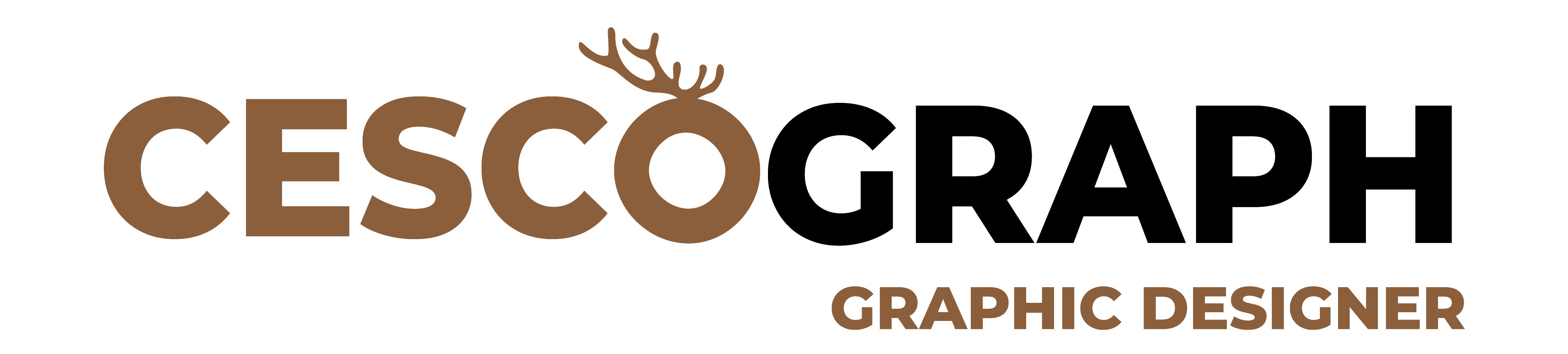Portfolio françois